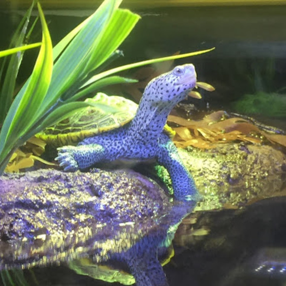 Meet your Posher, Aaron - Picture 1 of 1